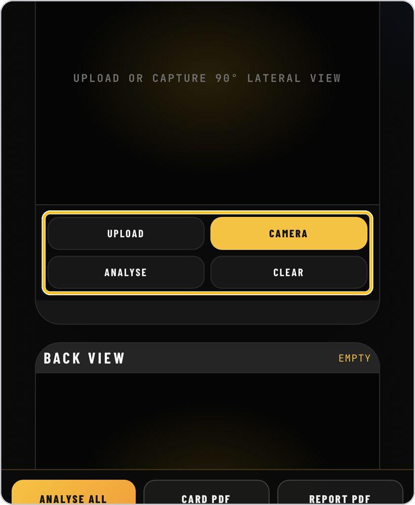 Asymmetry Engine · Upload or camera, analyse, clear