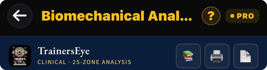 Biomechanical Analysis guide illustration