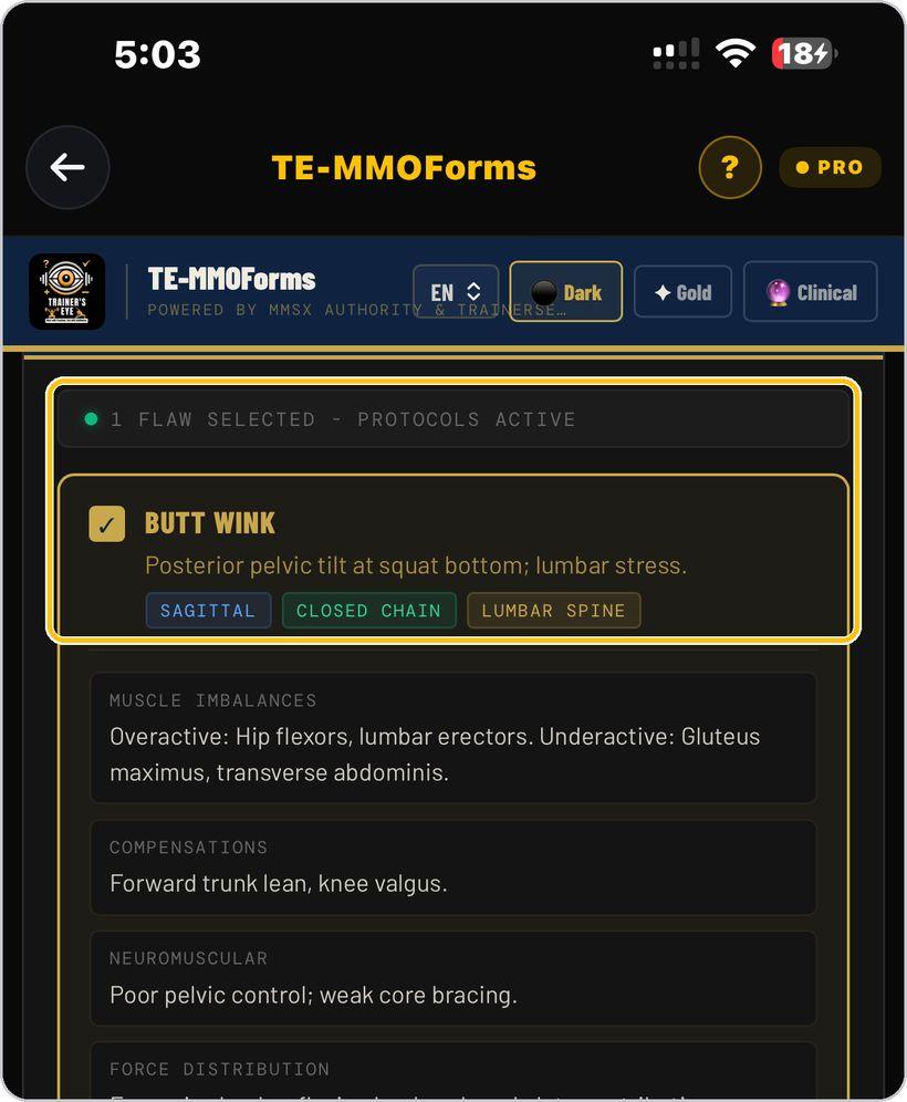 TE-MMOForms · Tick the flaws