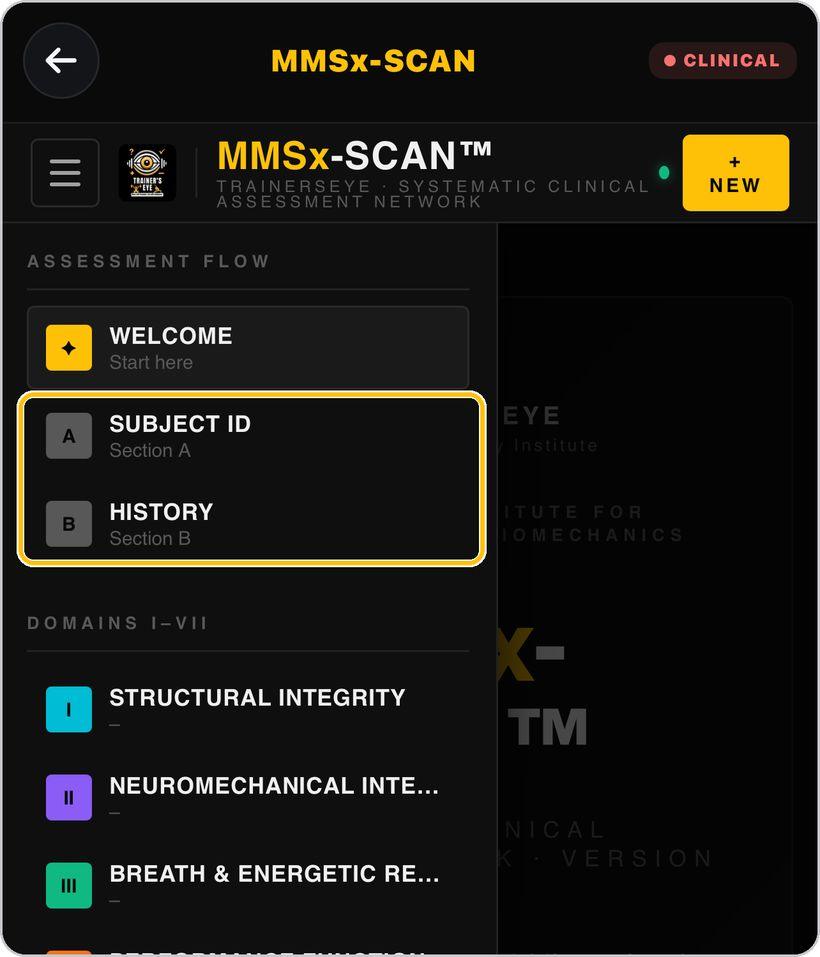 MMSx-SCAN · Section A and Section B