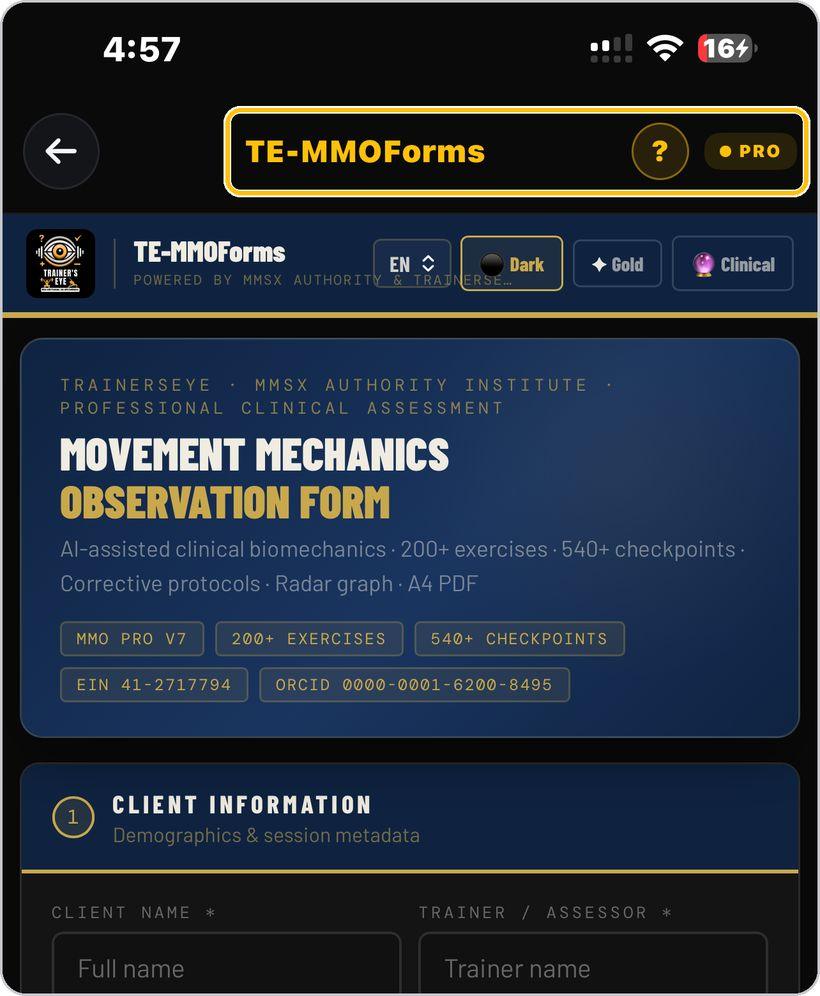 TE-MMOForms · Open the tool