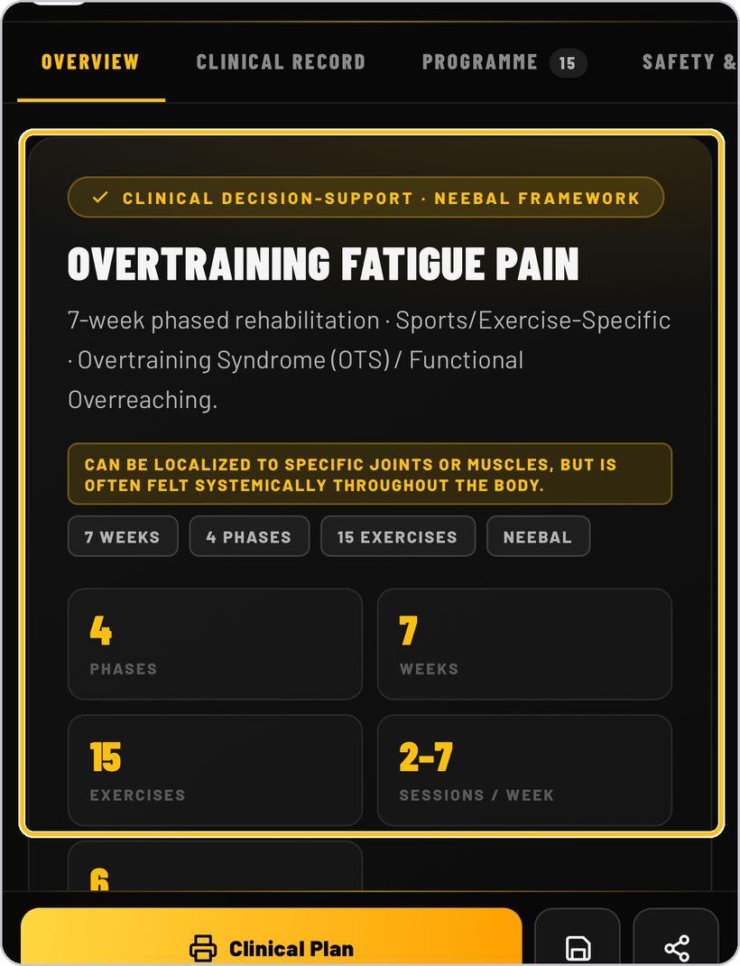 Rehab Builder · Overview — the plan at a glance