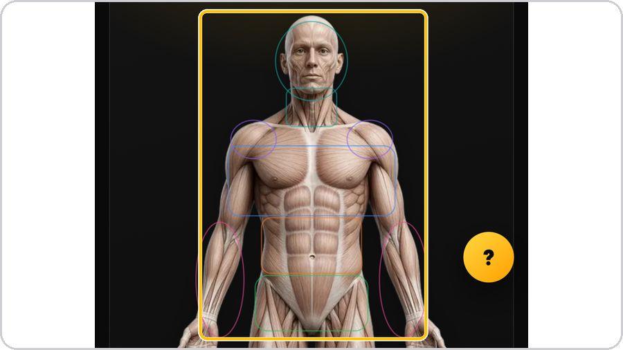 Rehab Builder · Select the area on the body