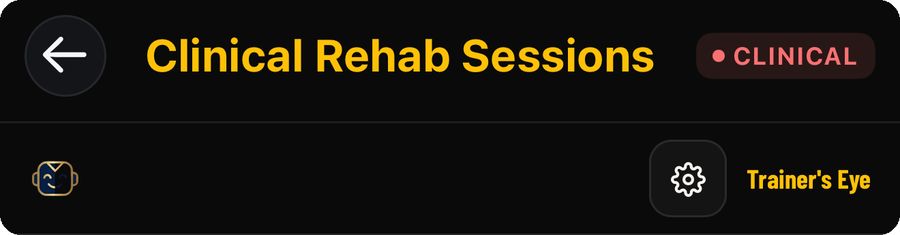 Clinical Rehab Sessions guide illustration