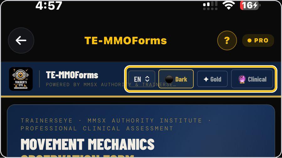 TE-MMOForms · Language and look