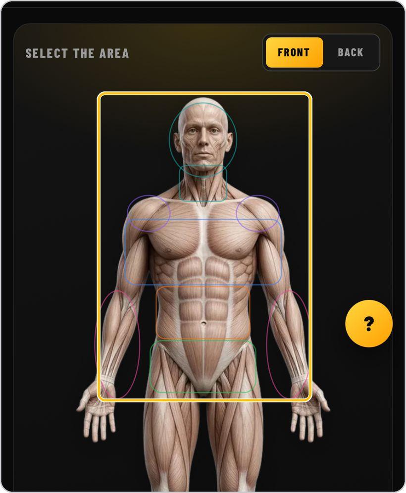 Rehab Builder · Select the area on the body