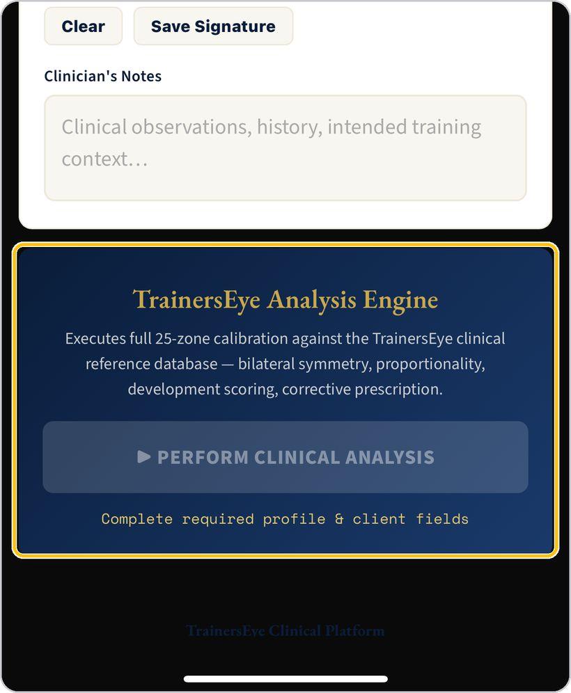 Biomechanical Analysis · Perform the clinical analysis