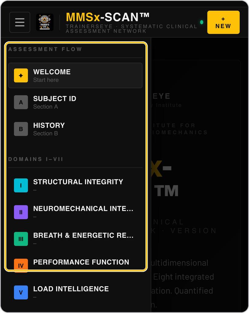 MMSx-SCAN · The assessment flow