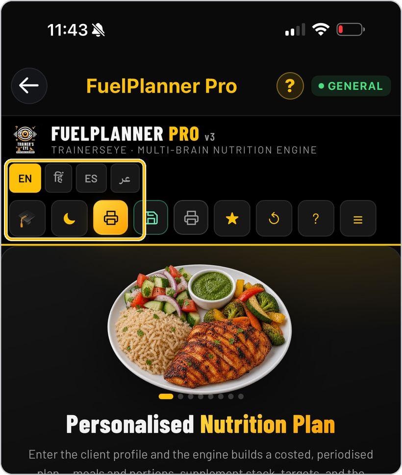 FuelPlanner Pro · Language, view and look