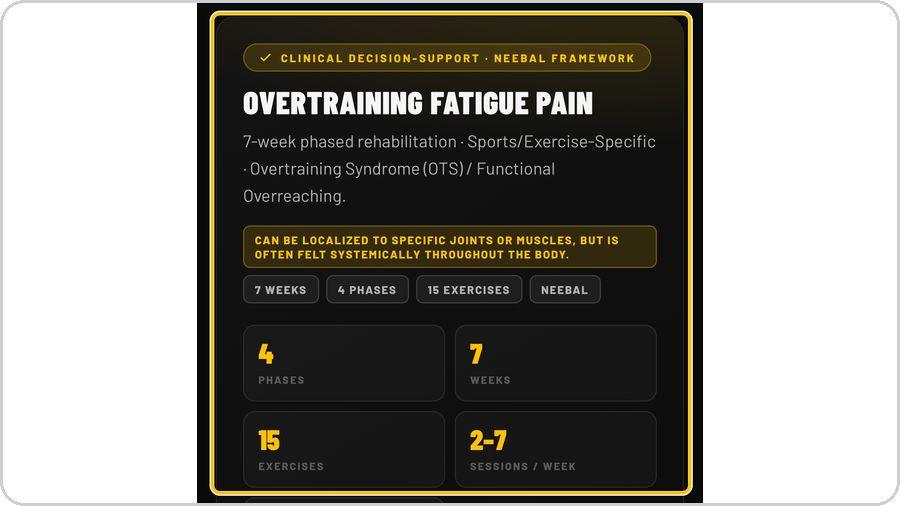 Rehab Builder · Overview — the plan at a glance