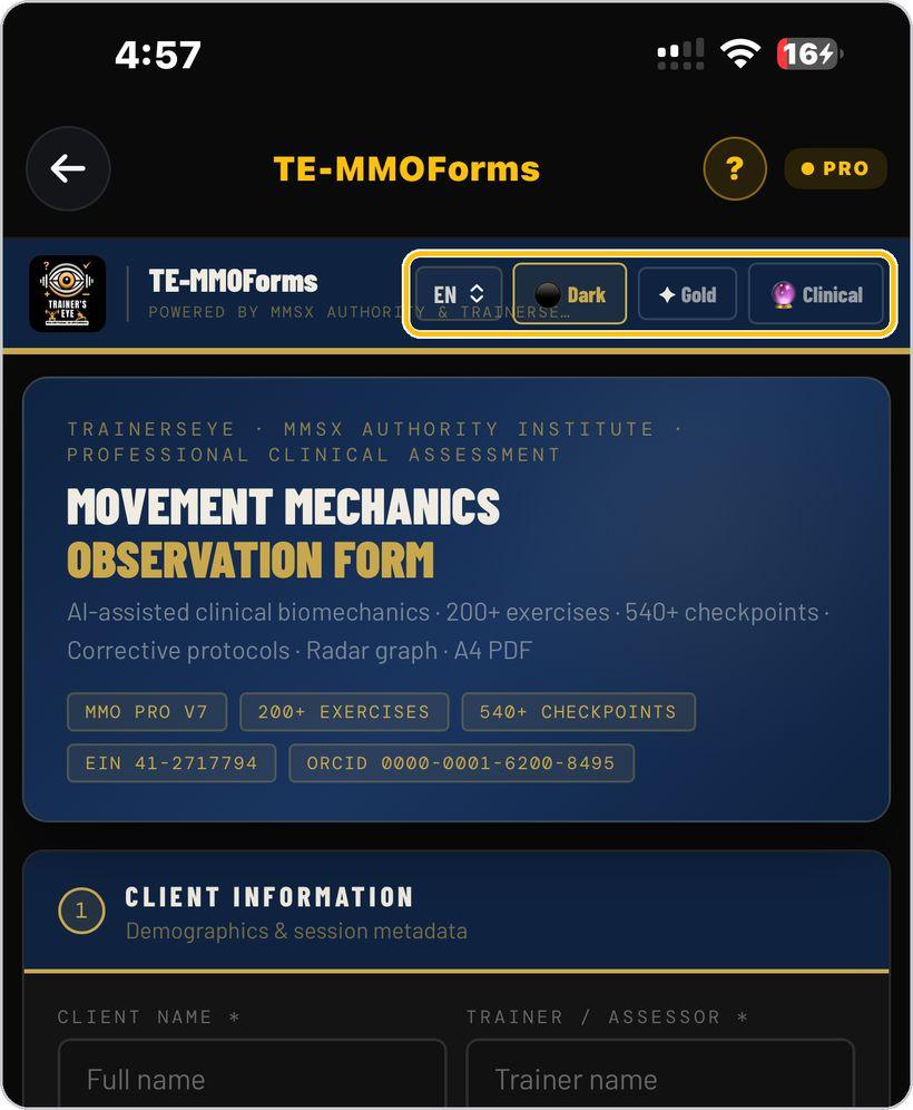 TE-MMOForms · Language and look