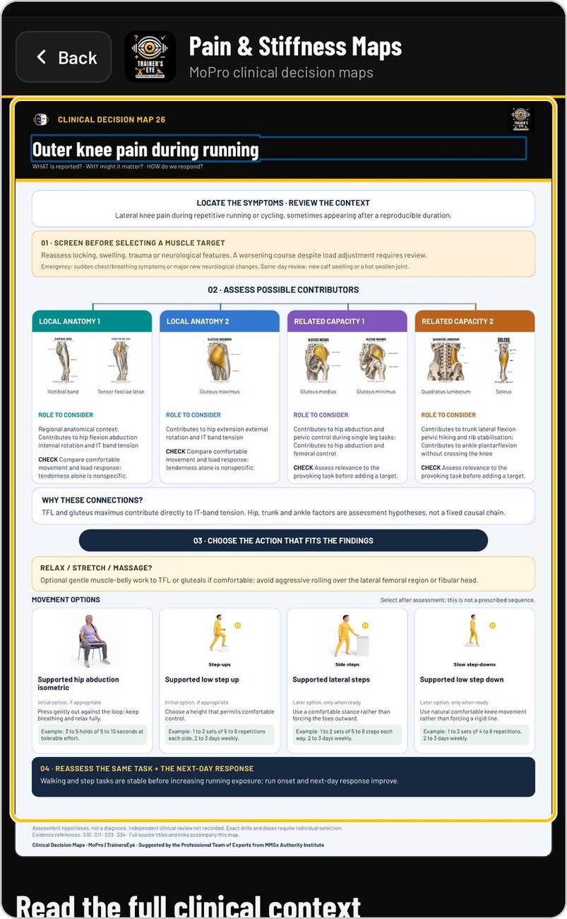 Movement Decision Tool · Read the decision map