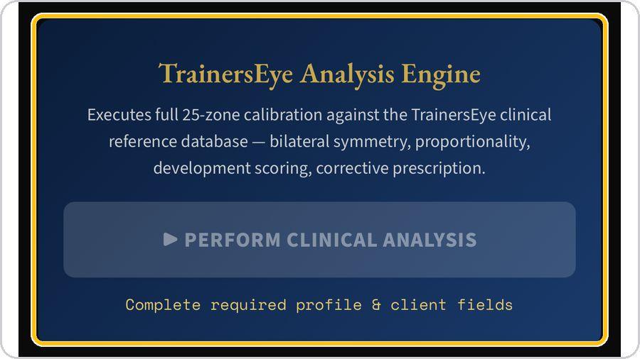 Biomechanical Analysis · Perform the clinical analysis