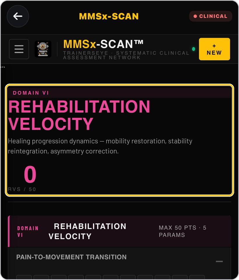 MMSx-SCAN · Domain VI