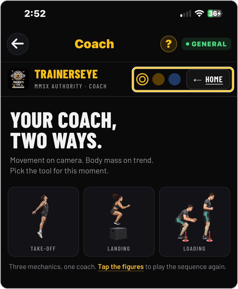 Coach · Look, theme and Home