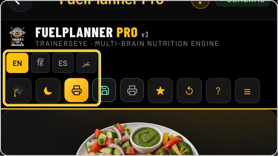 FuelPlanner Pro · Language, view and look