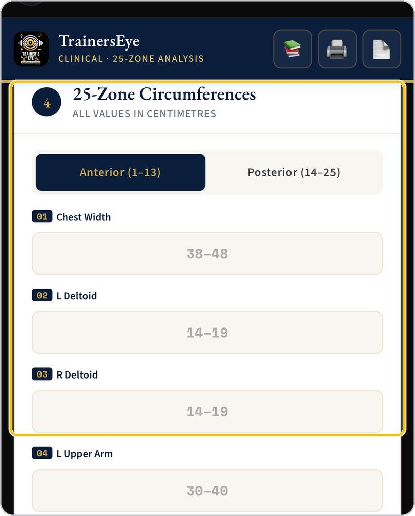 Biomechanical Analysis · The 25 zones