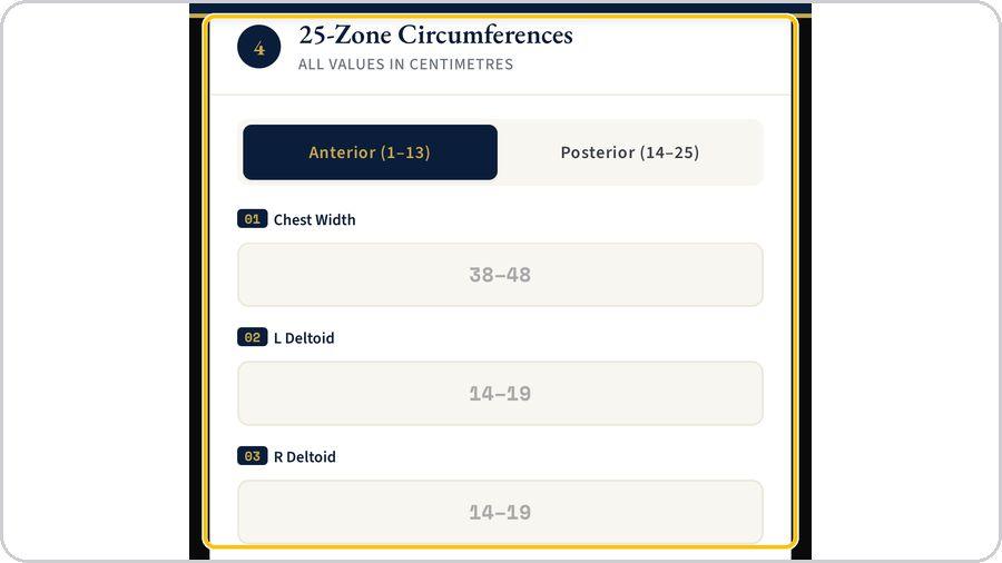 Biomechanical Analysis · The 25 zones