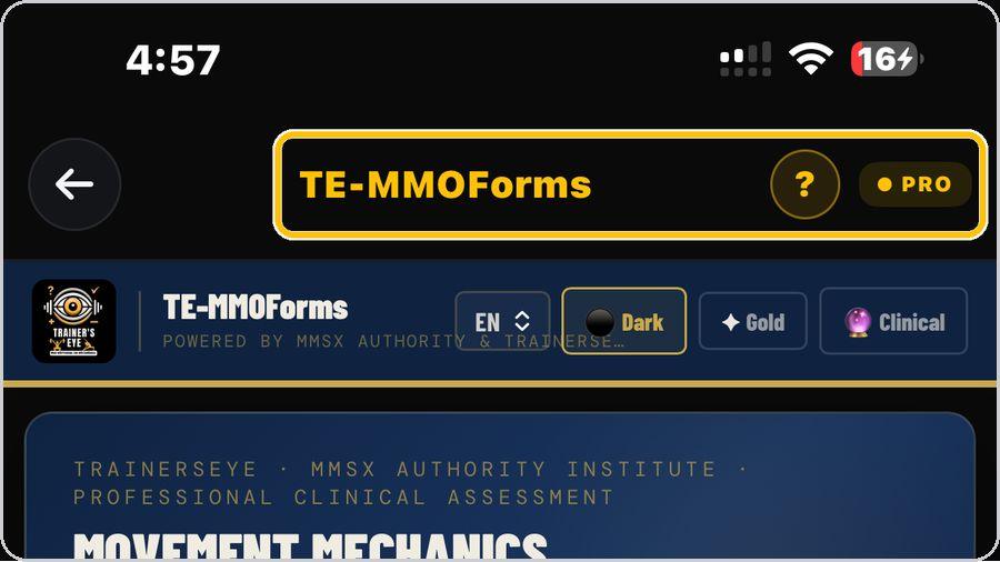TE-MMOForms · Open the tool