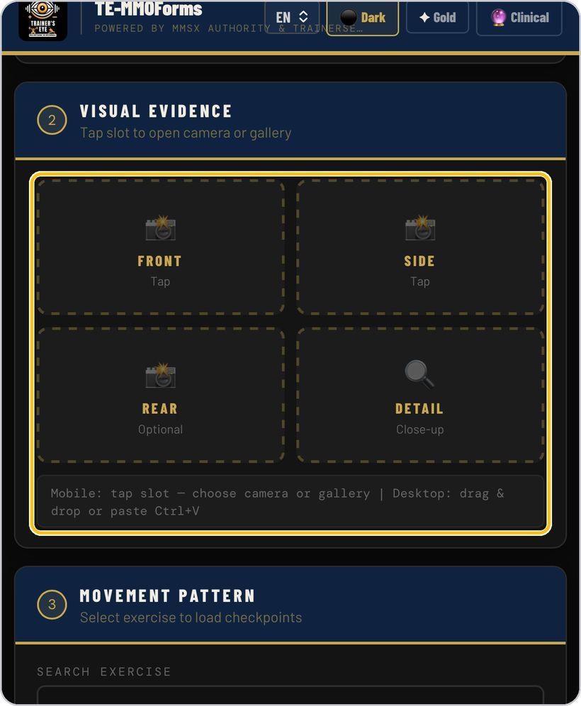 TE-MMOForms · Visual evidence