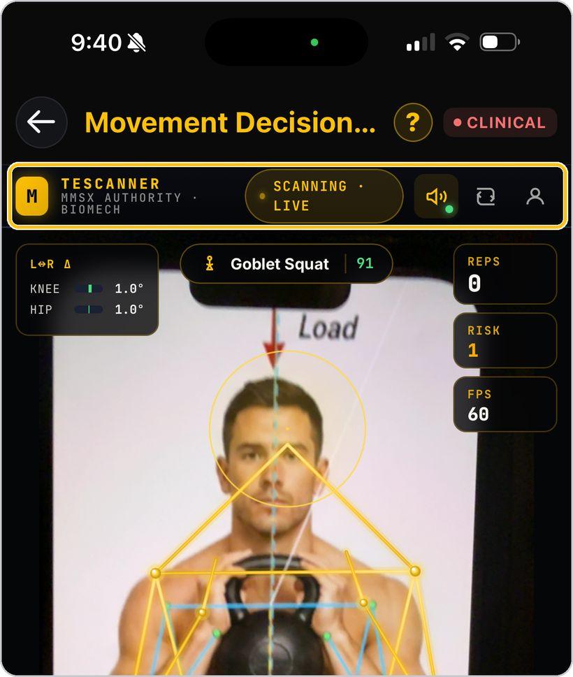 Movement Decision Tool · The scanner controls