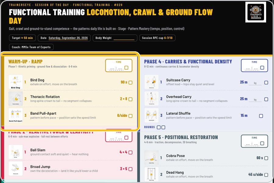 Session of the Day · Follow the phases