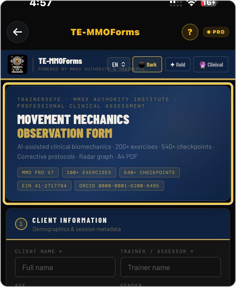 TE-MMOForms · What the form does