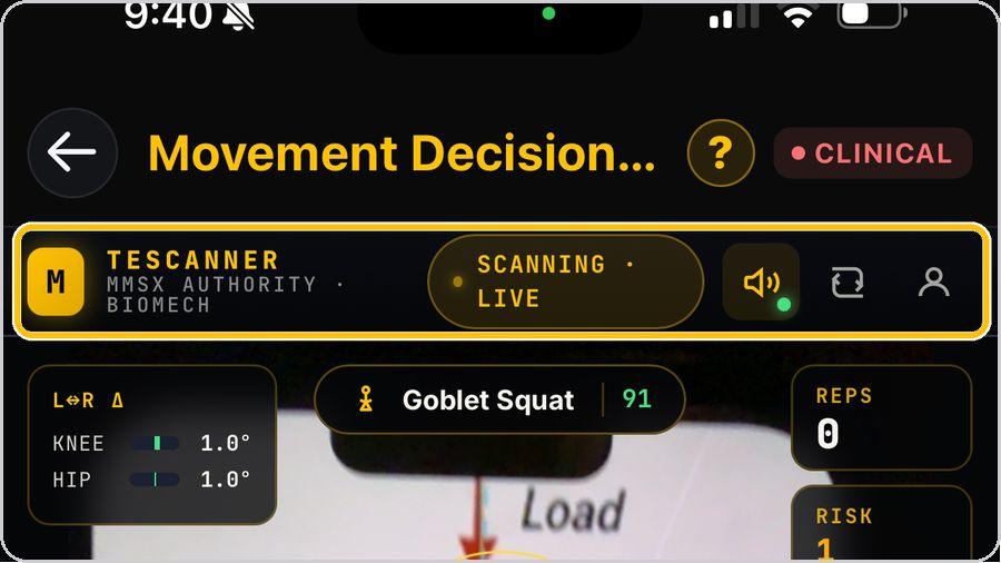Movement Decision Tool · The scanner controls